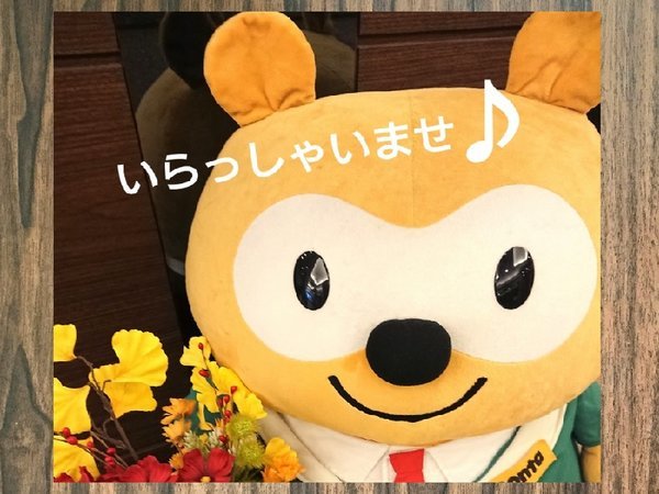 �z�e�����[�g�C���D�y�w�O�k���F���r�[�̃|���^�N�Z���N�V����