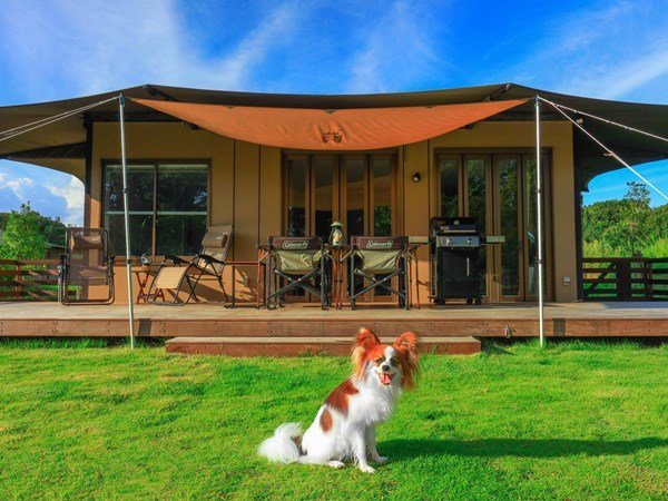 �y�t�H���X�g���B��DOG�z�X�̒��̃v���C�x�[�g���