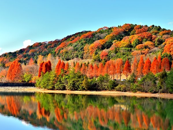 yj[}xzc牷܂`F̕ωy߂鉜RcƏ̎藿