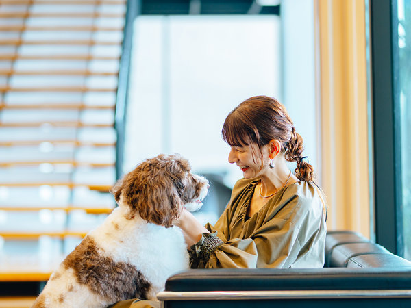 yr[zQ[WȂňړł̂ŃXgXt[B[h̒p肢܂B