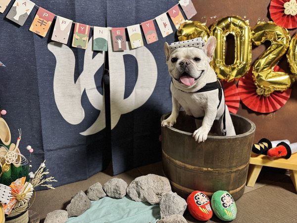 �G�߂��Ƃɕς��t�H�g�X�|�b�g�ł̂��ʐ^�����y���݂�������