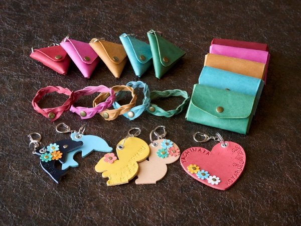 ADVENTURES ISLAND ���J���򃍃b�W�F���U�[�N���t�g