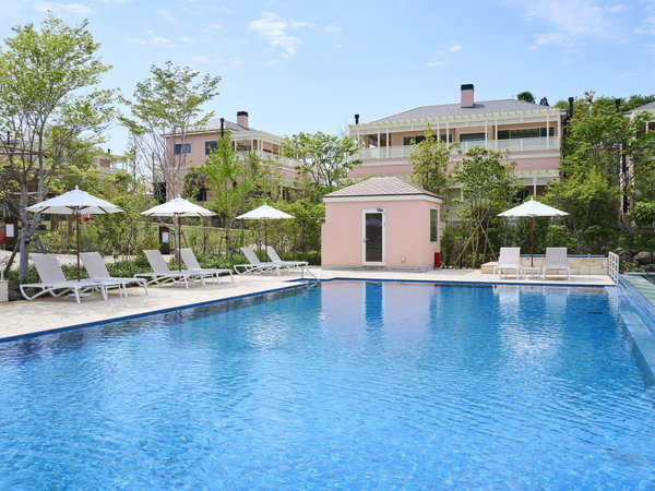 ADVENTURES ISLAND ���J���򃍃b�W�F�v�[��