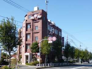 水口博也 真巧 你也来进博会了 Amp Petmd Com 水口博也 真巧 你也来进博会了 Amp Petmd Com