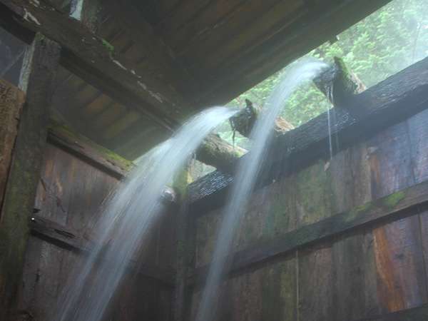 豪快に流れ落ちる西屋自慢の湯滝は、全国屈指の湯量です。