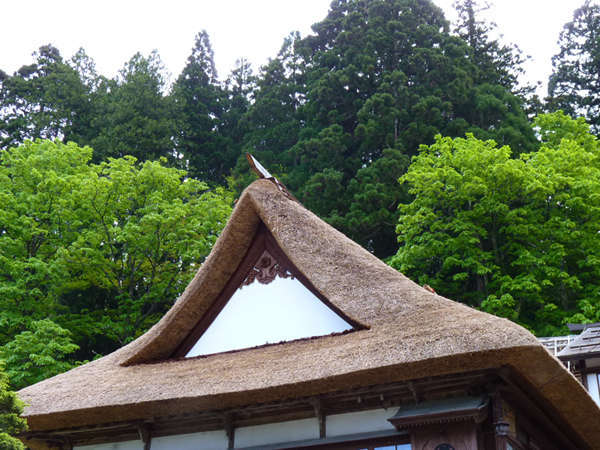 山河の四季と共にあるがままの吾に環る茅葺の古宿 湯滝の宿西屋 - 宿泊予約は【じゃらんnet】