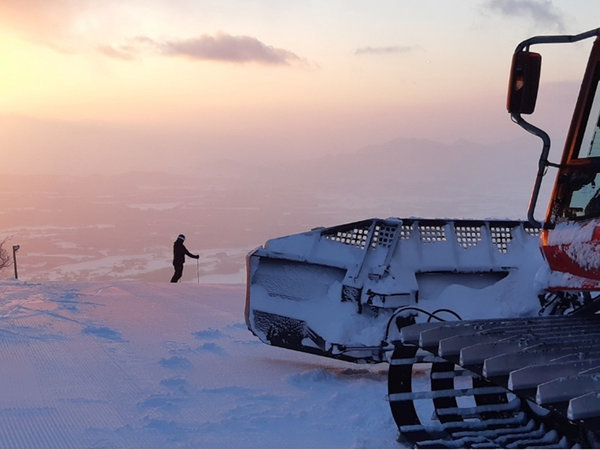 ���΃v�����X�z�e���F�B�ꖳ��̓~�i�F�Ƌɏ�̕���