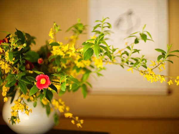 ���q�l�̗��ɐF��Y������悤�A�O�����߂Ċ����Ă���܂�