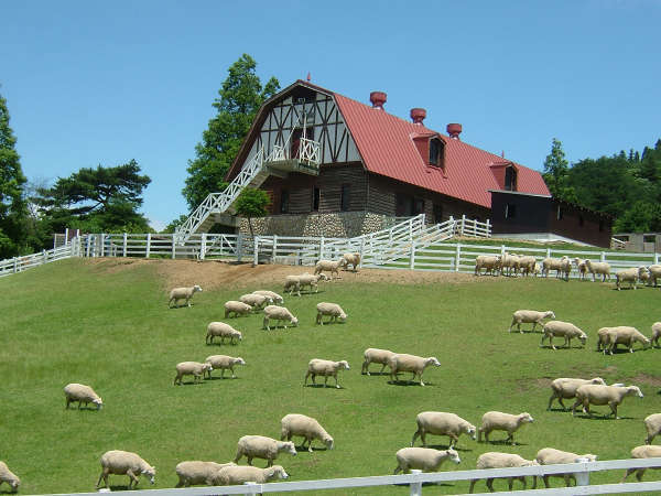 Urplais ホテル 旅館 宿泊施設の検索 六甲山上にひろがる高原牧場 六甲山牧場 はおすすめスポット 夜景と星空と神戸牛を楽しむ宿 グランドホテル六甲スカイヴィラ