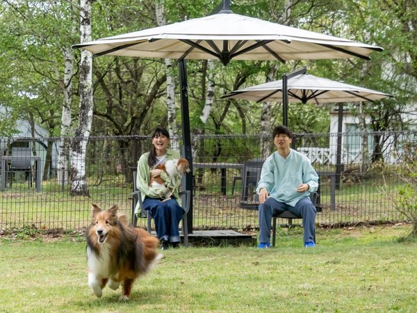 �yDOG PARK�z�����p�C���[�W