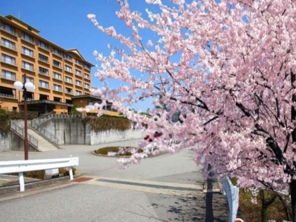 下呂温泉の温泉掛け流しのある温泉旅館 ホテル一覧 じゃらんnet