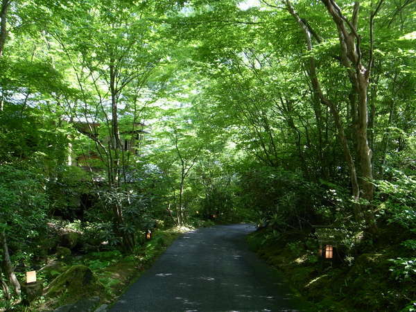 黒川温泉の露天風呂付客室のある温泉旅館 ホテル一覧 じゃらんnet