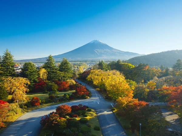 河口湖温泉 富士ビューホテル 富士屋ホテル河口湖アネックス 宿泊予約は じゃらんnet