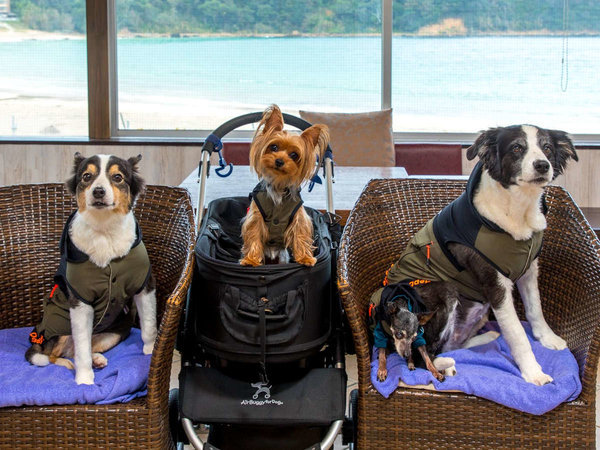 愛犬と過ごす海辺のお宿 ムーン・リバージュ． - 宿泊予約は【じゃらん