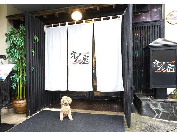 ペットと泊まれる温泉宿 鵜の浜温泉 わん宿うの浜館 宿泊予約は じゃらんnet