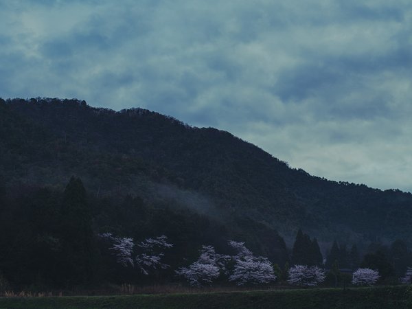 �{��J����`�퍑�������ʂ������j�̔铒�`�̎{�ݎʐ^