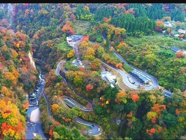 yقƐȉh@Âz򂩂tqfh@NԒʂă[YiuI