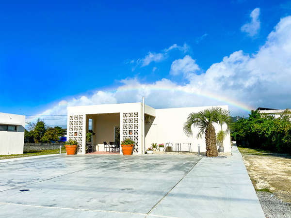 �����ʂ��[���̊O�ώʐ^