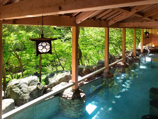 �y�����̓��@�I�V���C�i������p�j�z���L�΂��Γ͂������Ȓߐ�k�𒭂߂Ȃ���A����������i���������B