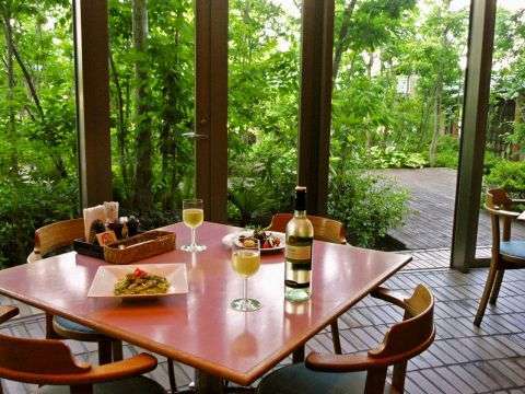 【朝食・昼食レストラン：カトルセゾン】春～秋までは緑がたくさん！まるで森の中にいるかのよう・・♪