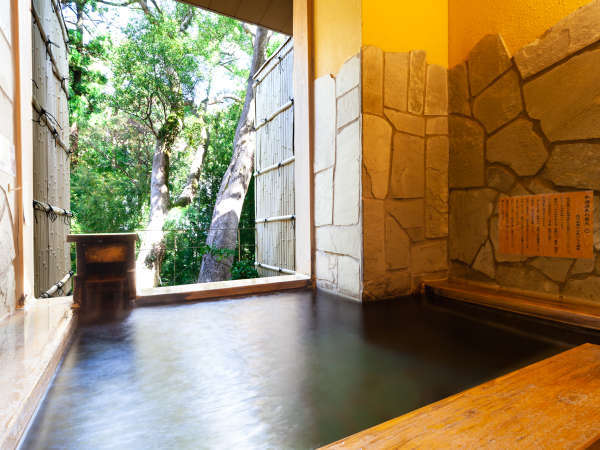 �M�C�@�z�e���p�C�v�̂��ނ�F�l�C�̑ݐؕ��C��
