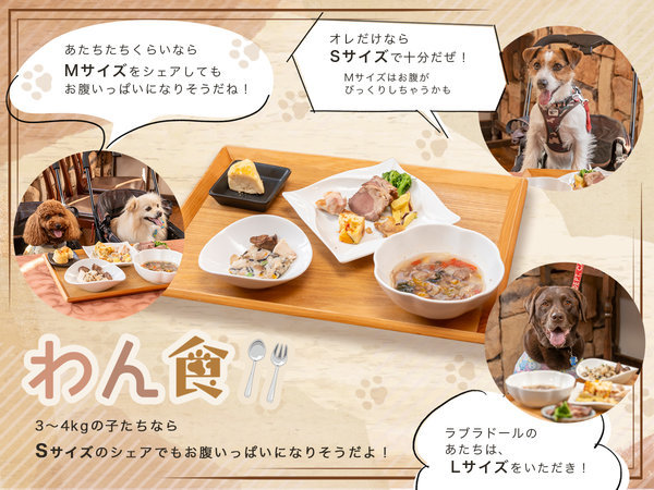 �ʓ@�@�΂̉� �ɓ����� �y�b�g�Ɣ��܂��S���I�V�t���q���̏h�F�������ѓo��I