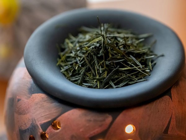 �t�H���X�g���]�[�g�@�R�̎�z�e���F�v���C�x�[�g��Ԃ��؂ɂ��� 10��������ґ�ȏh