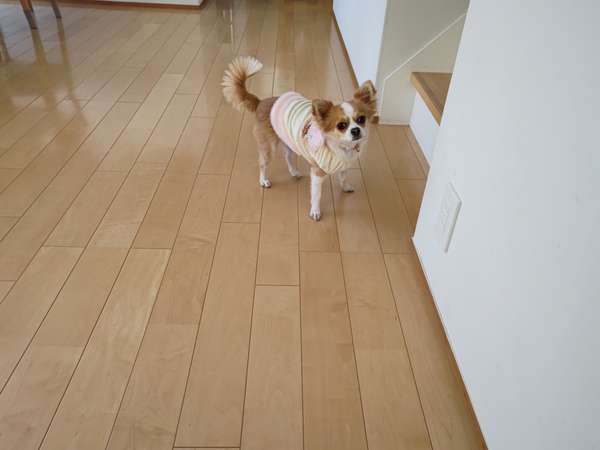 ｖｉｌｌａマリーンヒル 宿泊予約は じゃらんnet