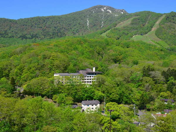 yado