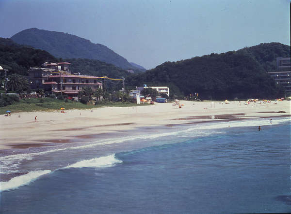 yado
