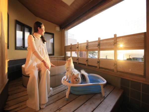 愛犬と泊まれる温泉宿 ゆるり西伊豆 宿泊予約は じゃらんnet