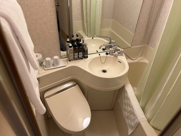 �V���O�����[������(���j