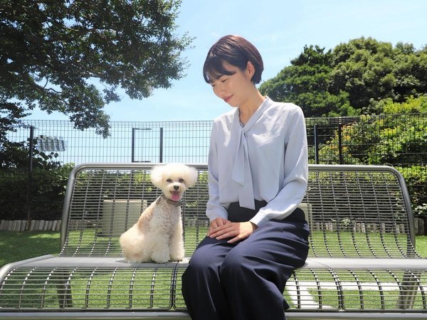 dogparkňƑfGȂЂƂƂ