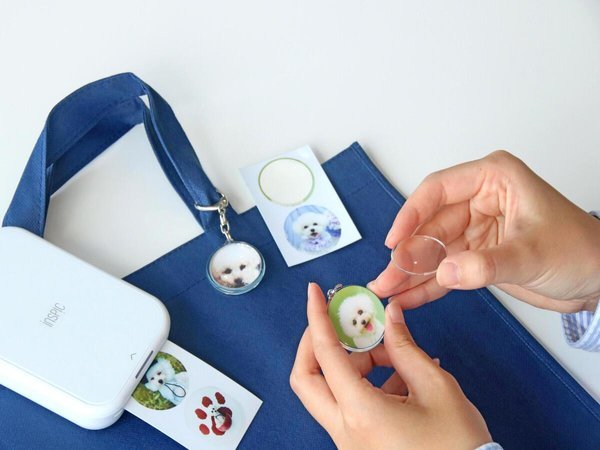 �����p���_�C�X �v���~�A �ɓ������F�����ʐ^����I���W�i���L�[�z���_�[���