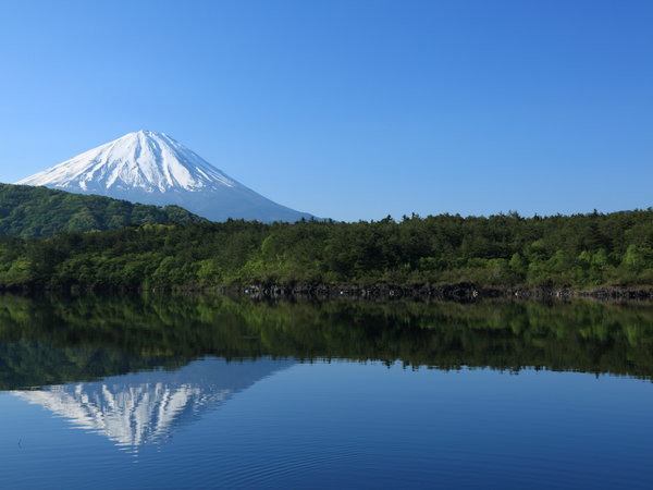 �G�o�[�O���[���x�m�i5/30�`�T�̈�z�e�� �x�m�j�F����