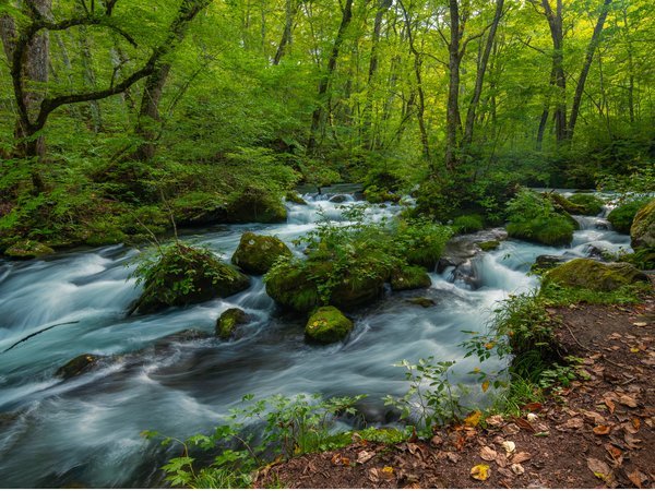 �\�a�c�Δȁ@���y�F�������k��