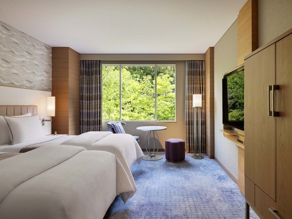 デラックスツイン