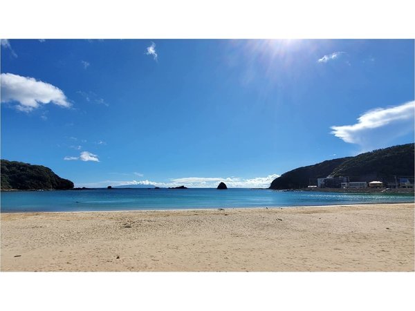 �y�A�[���X�z�y�r�[�`�܂œk��1���z�`���`�y�b�g�Ɣ��܂��C�ӂ̏h�`���`