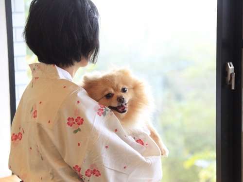 犬御殿 箱根仙石原温泉 森のあかり 神奈川県の宿 ペット想い Com