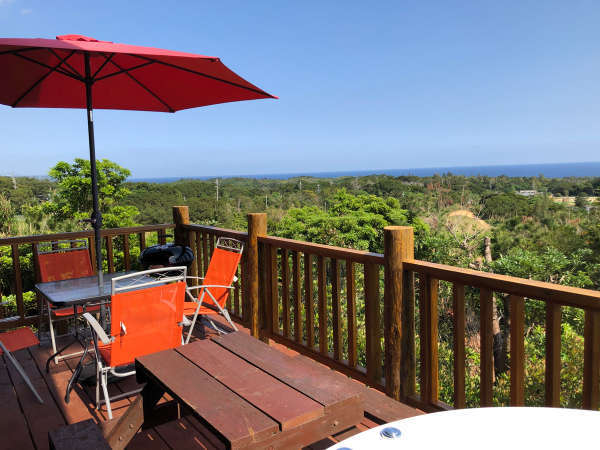 ���g�R�[�q�[���̊O�ώʐ^