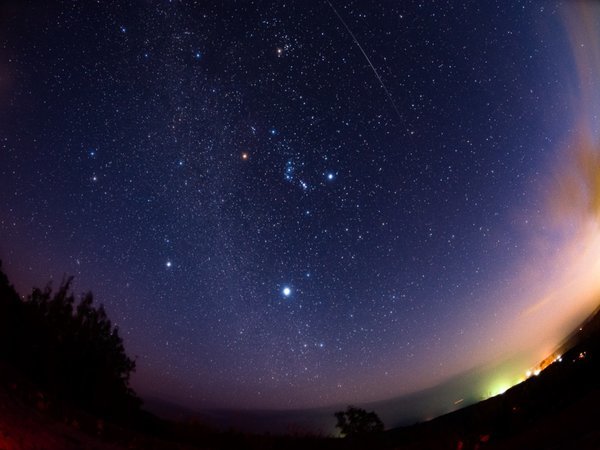 ���g�R�[�q�[���̎{�ݎʐ^3