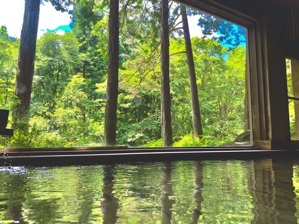 �y�w���C�z�i�F�Ƌ��Ƀ����b�N�X�B