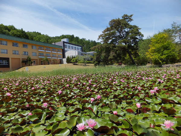 里山の自然と温泉を楽しめる宿 高原ロッジ メープル猪名川 宿泊予約は じゃらんnet