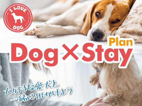 【Dog×Stay】～ワンちゃん同伴宿泊プラン♪