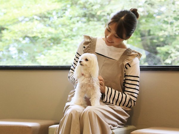 ���蔠��withDOGS�F�����p�ɂ�������
