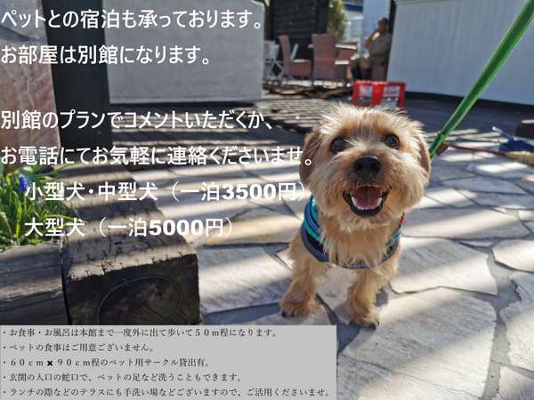 海鮮味処 御宿 新生 宿泊予約は じゃらんnet