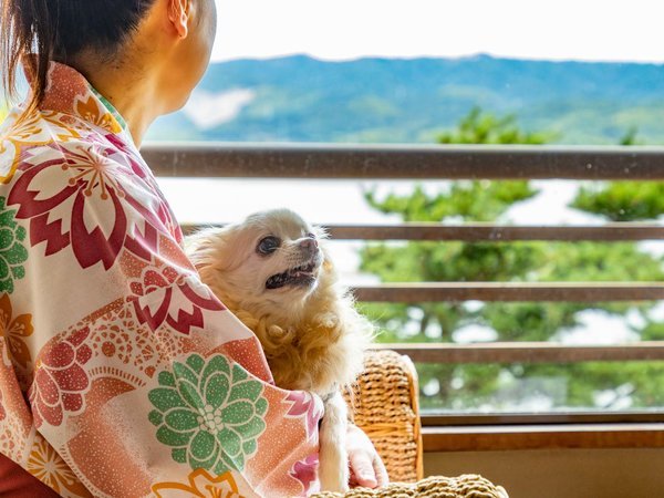 和 の リゾート は づ ストア 浴衣