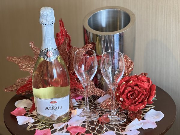 ����L���s�^���z�e���@�G�؁@�i�͂ƃo�X���c�j�F�L���I�v�V�����i�X�p�[�N�����O���C���j