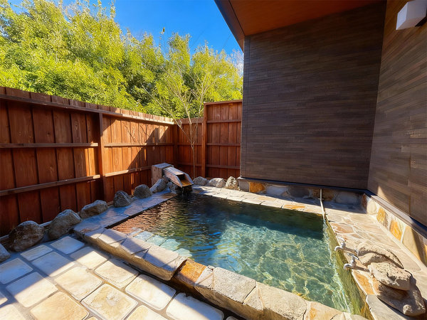 �m������̋q���t���I�V���C�B