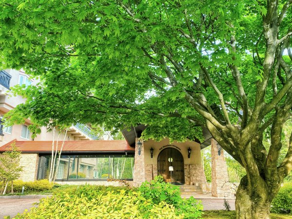 �t�`���ẴG���g�����X